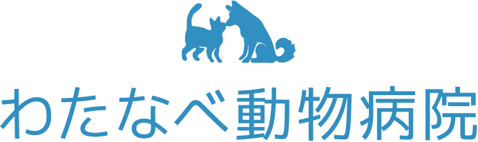 わたなべ動物病院